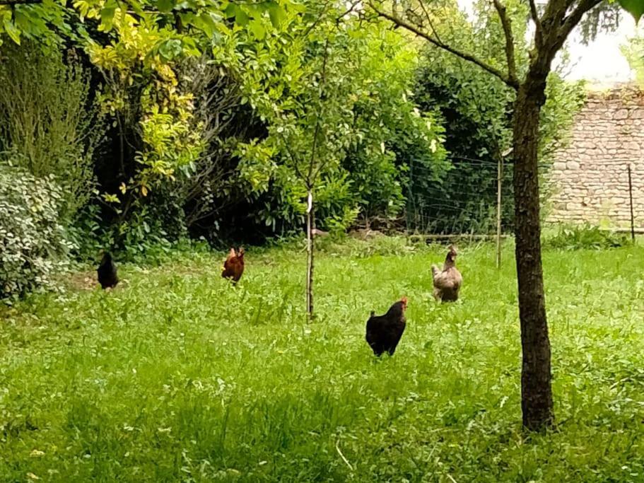 ThemericourtLe Cinq, Au Coeur Du Vexin别墅 外观 照片